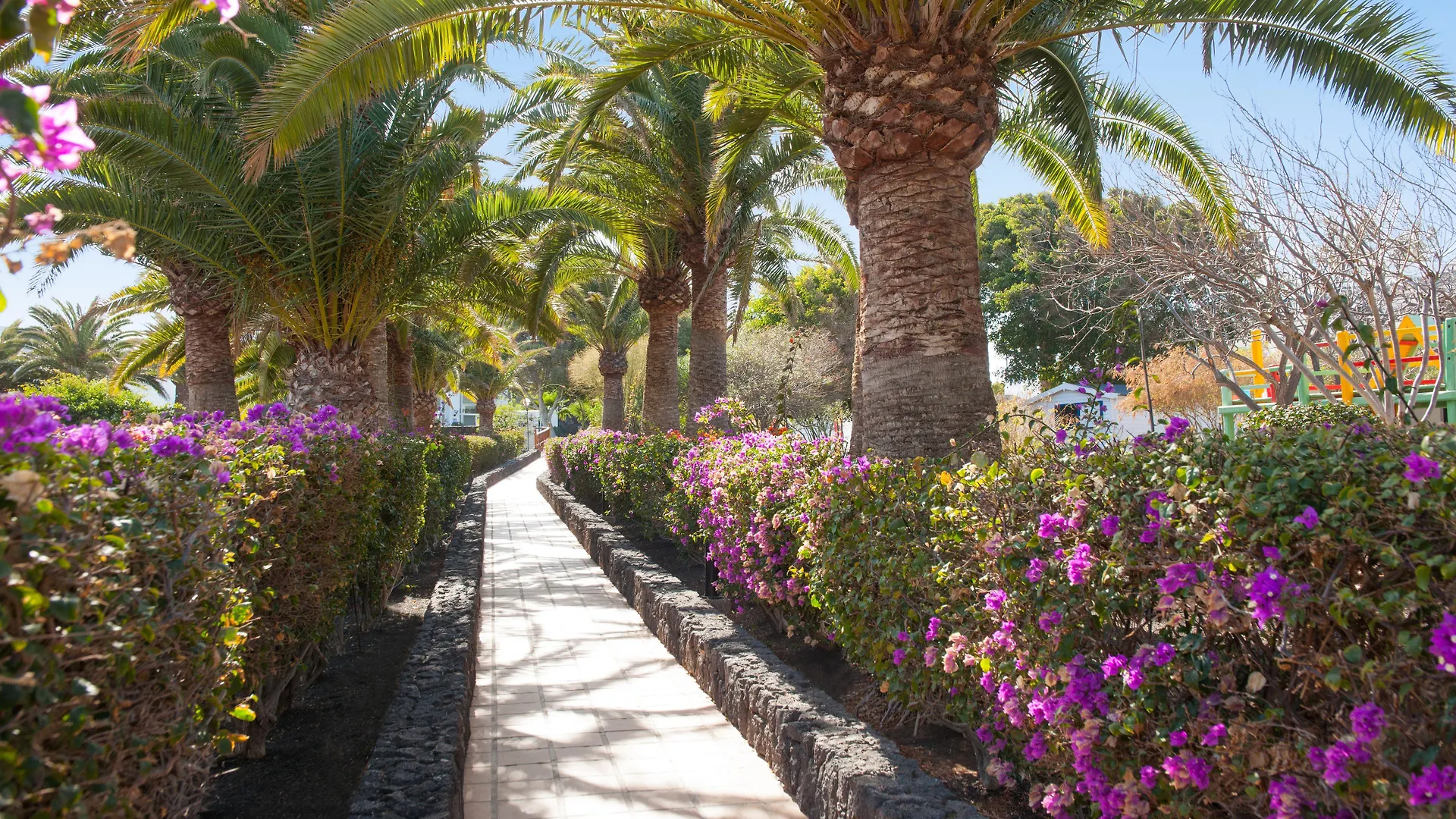 Relaxia Olivina Hotel Puerto del Carmen
